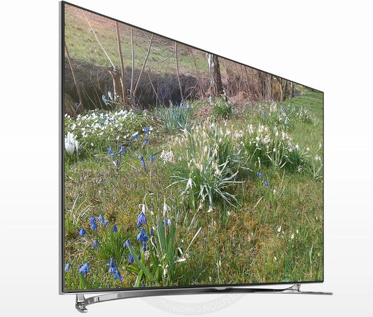 Samsung DVB-T/C/S2 UE65F8000, Televizory, 165cm (65 palců) 3D LED podsvícení TV (Full HD, 1000Hz CMR, DVB-T / C / S2, CI +, Černá, 165cm, Full HD